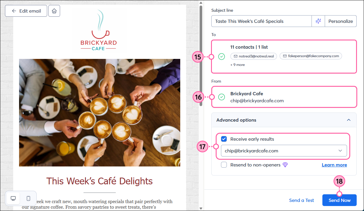 Email schedule page options and Send Now button