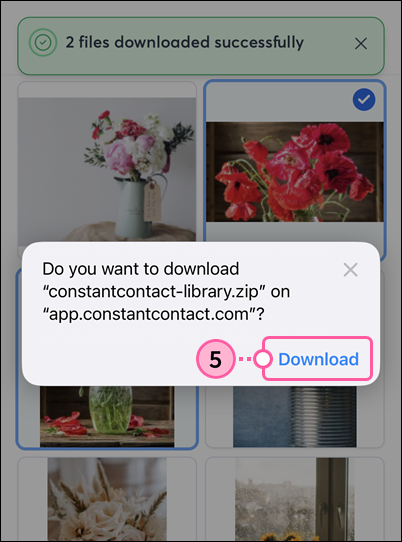 Download zip file confirmation message with Download link