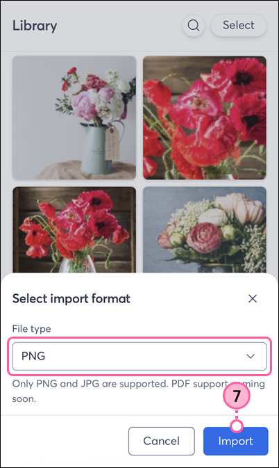 Select Import Format, File Type drop-down, and Import button