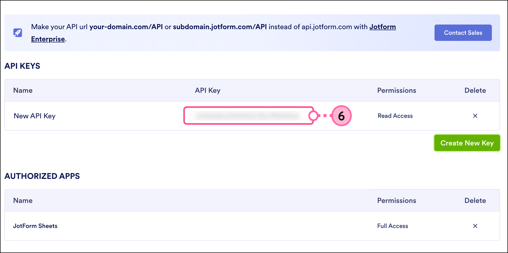 Generated API key is displayed
