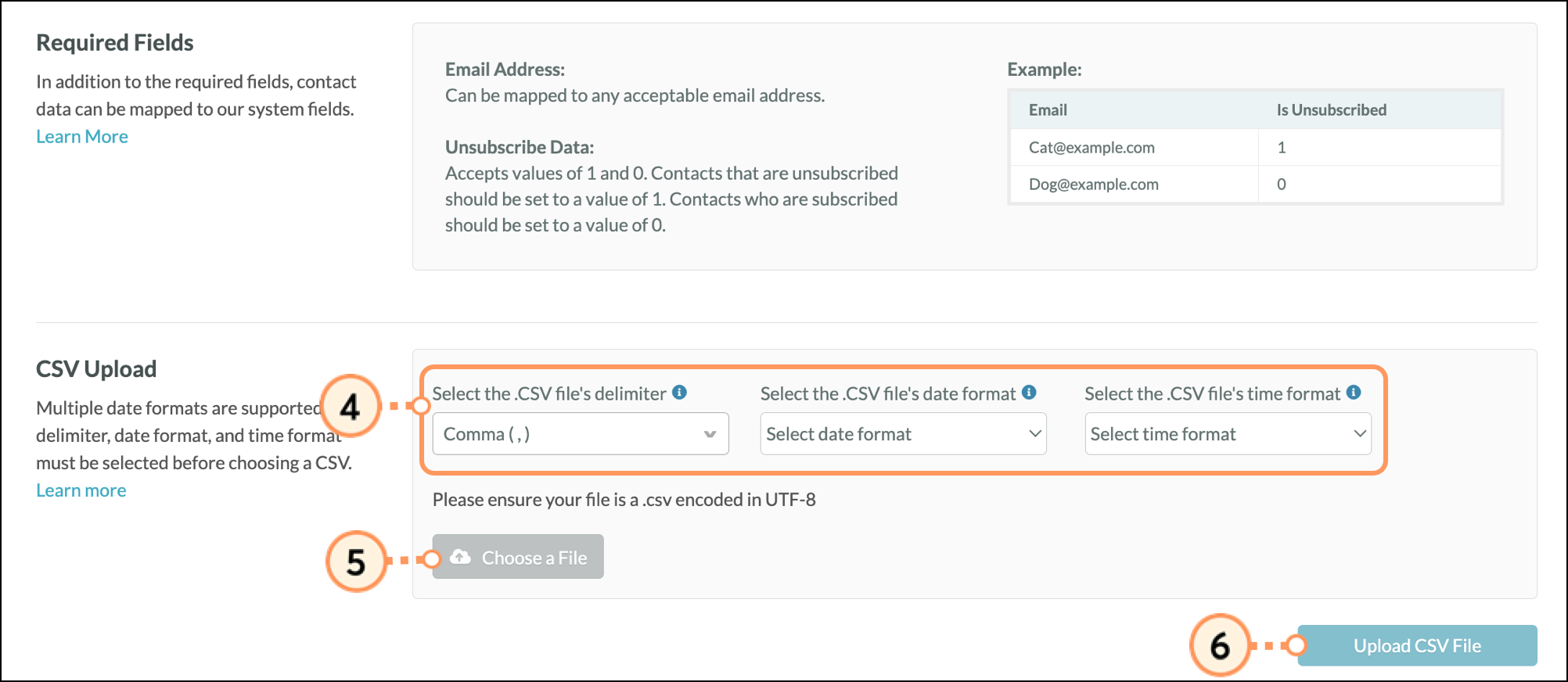Delimiter field, date format field, and time format field above the Choose a File button
