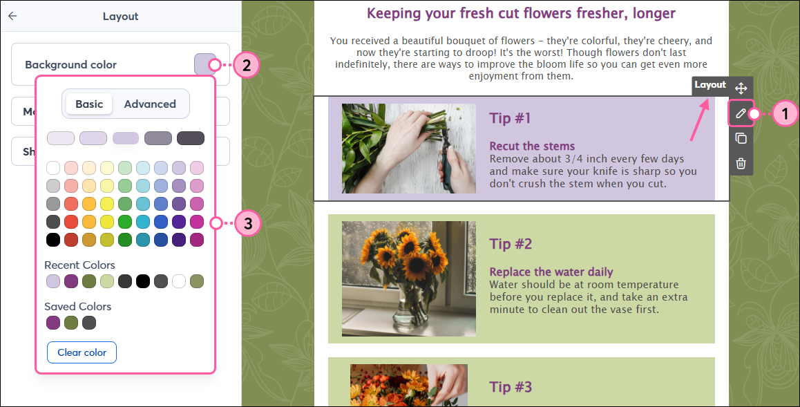 Layout selected with pencil icon, Background Color swatch in left-hand panel, and color palette expanded