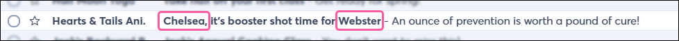Email Header example with Contact Details used in subject line