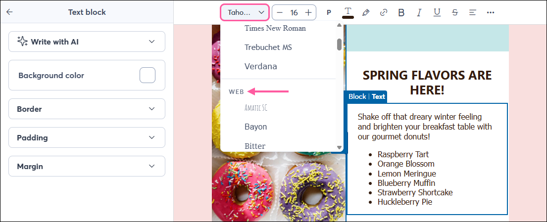 Email editor with Text toolbar and Font Style drop-down menu expanded