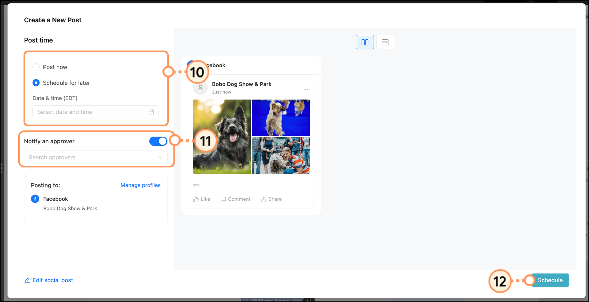 Create a New Post pop-up schedule options