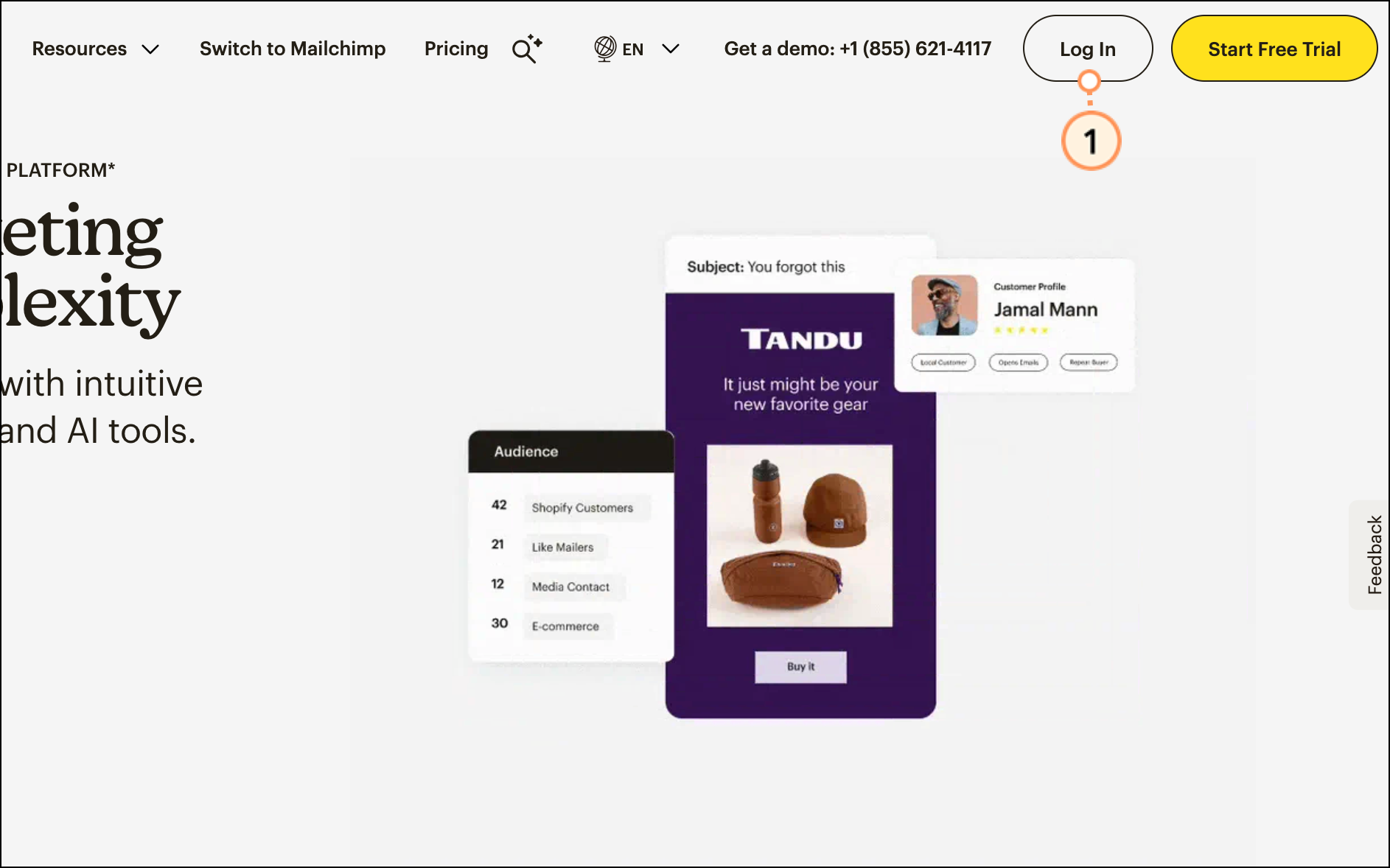 Mailchimp Log in button