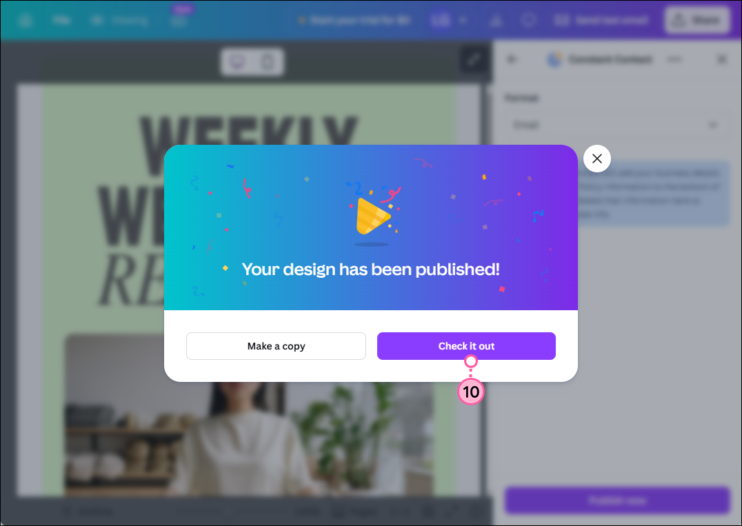 Design published success message and Check it Out button