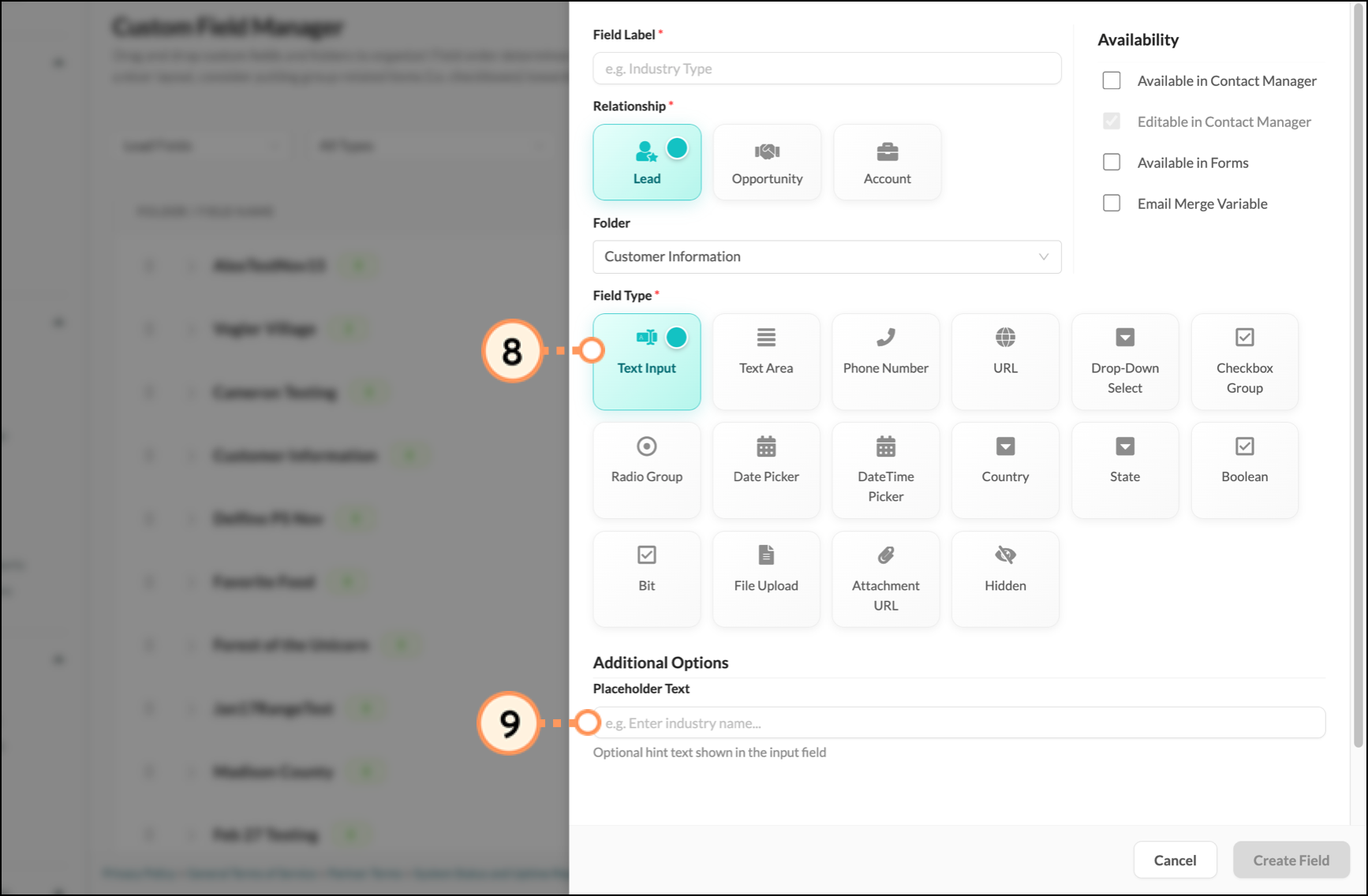 Text Input Field Type option selected and Placeholder Text field underneath