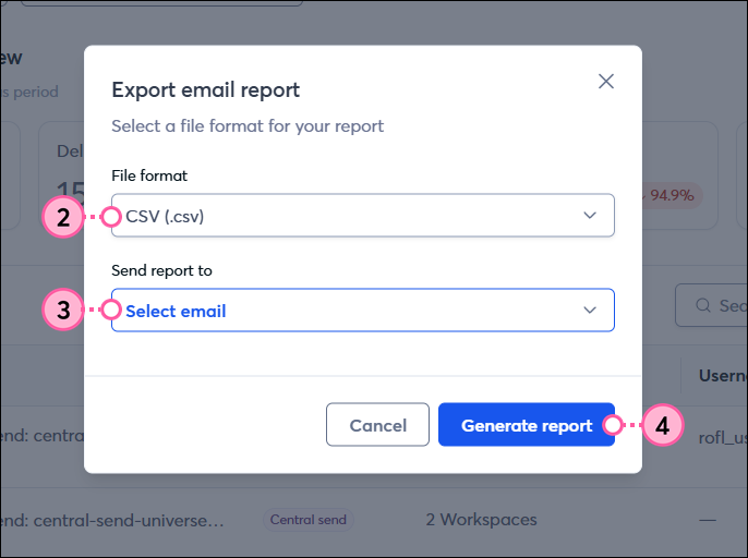 File format and email address dropdowns and Generate report button