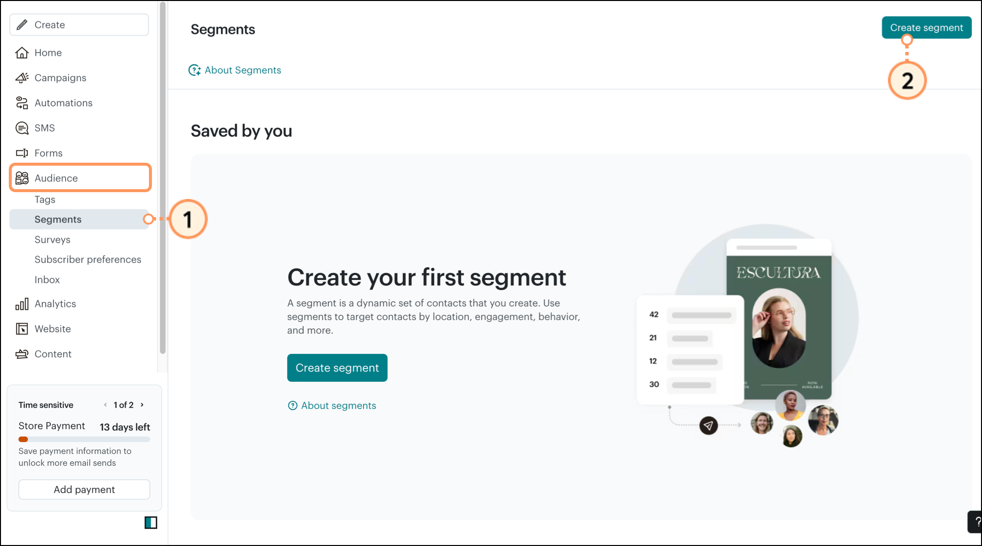 Audience page Segments section