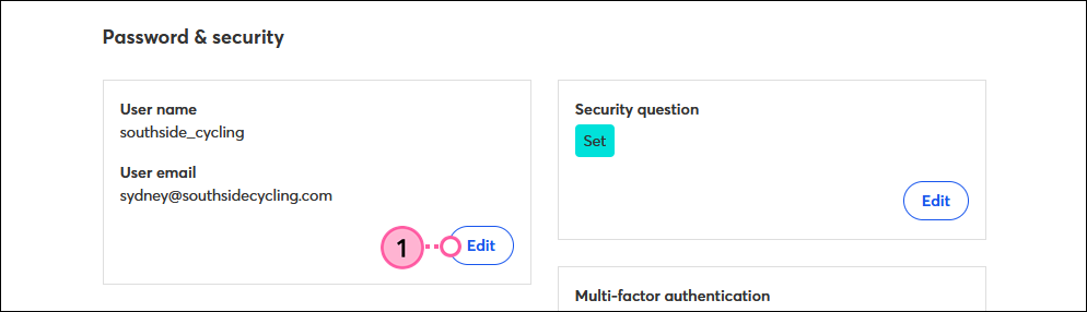 Password and Security section, User Name and User Email section, and Edit button