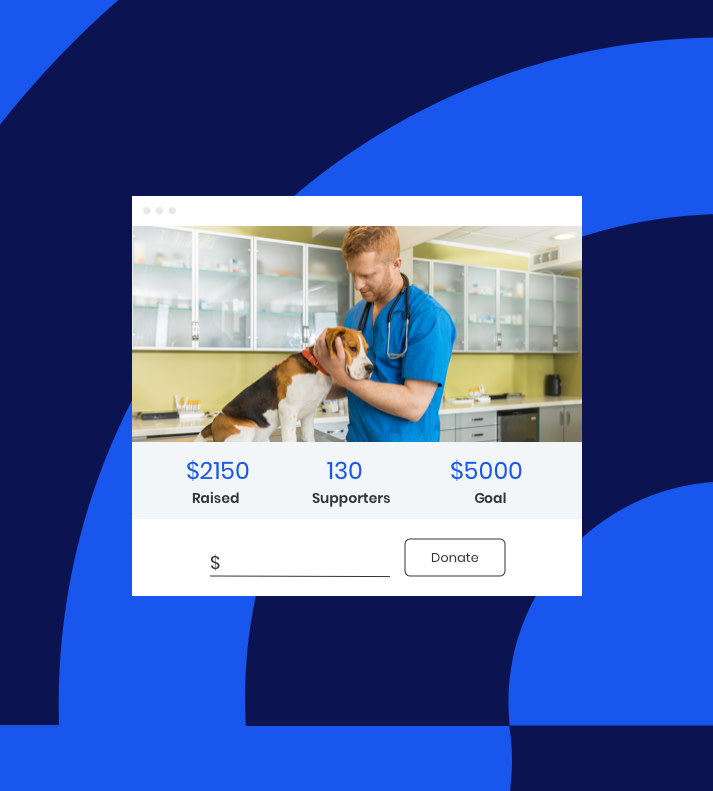 donation screen example with a veterinarian petting a dog
