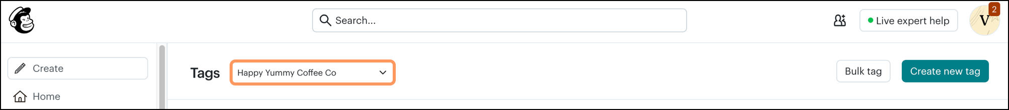 Audience Tags dropdown