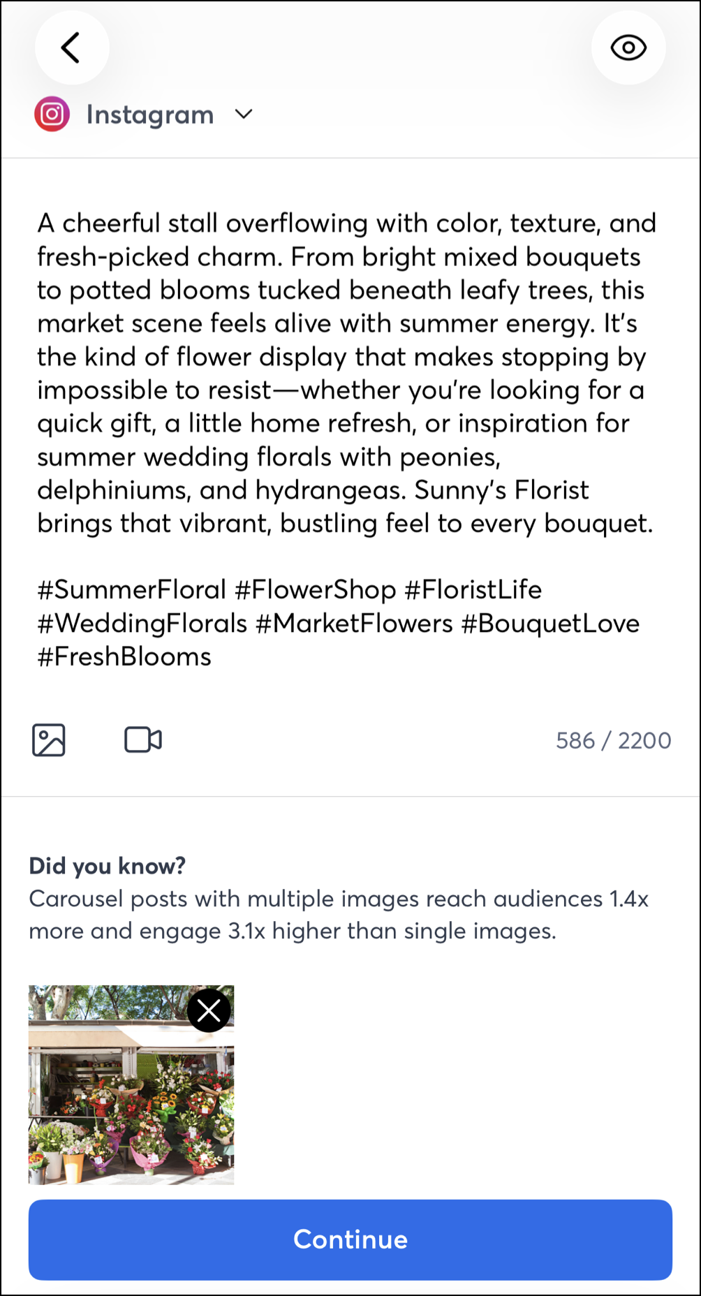 Constant Contact mobile app Instagram social post page with caption, tags, an image, and Continue button at the bottom of the screen