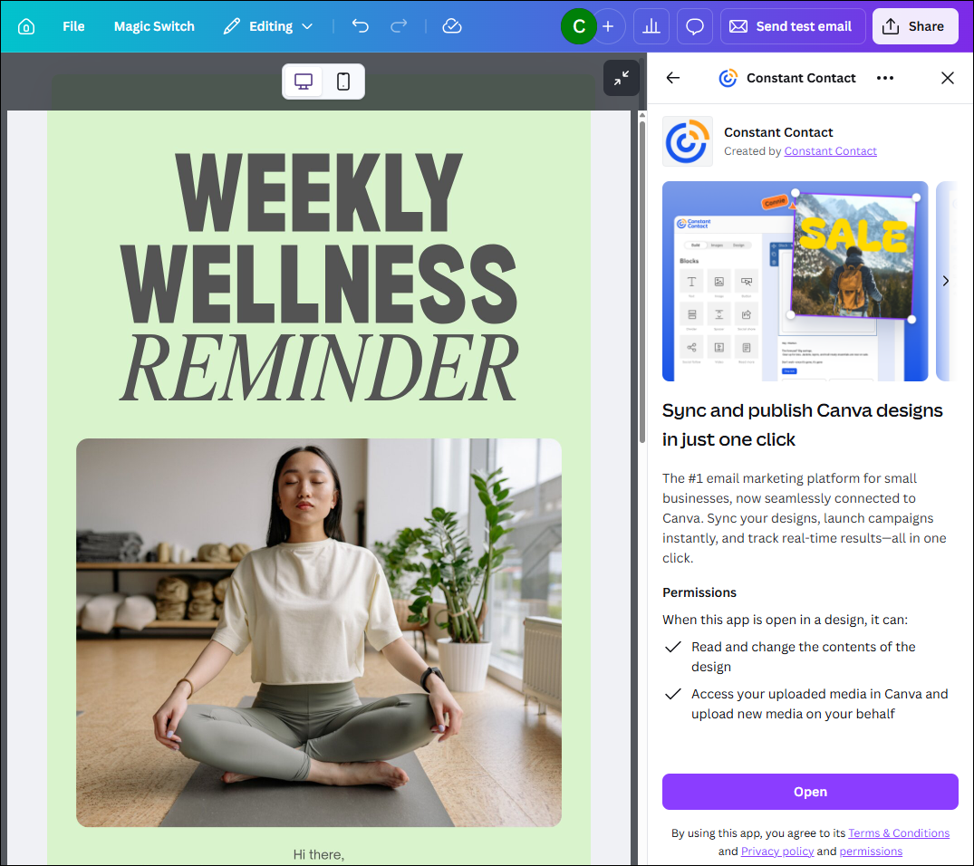 Canva email editing window
