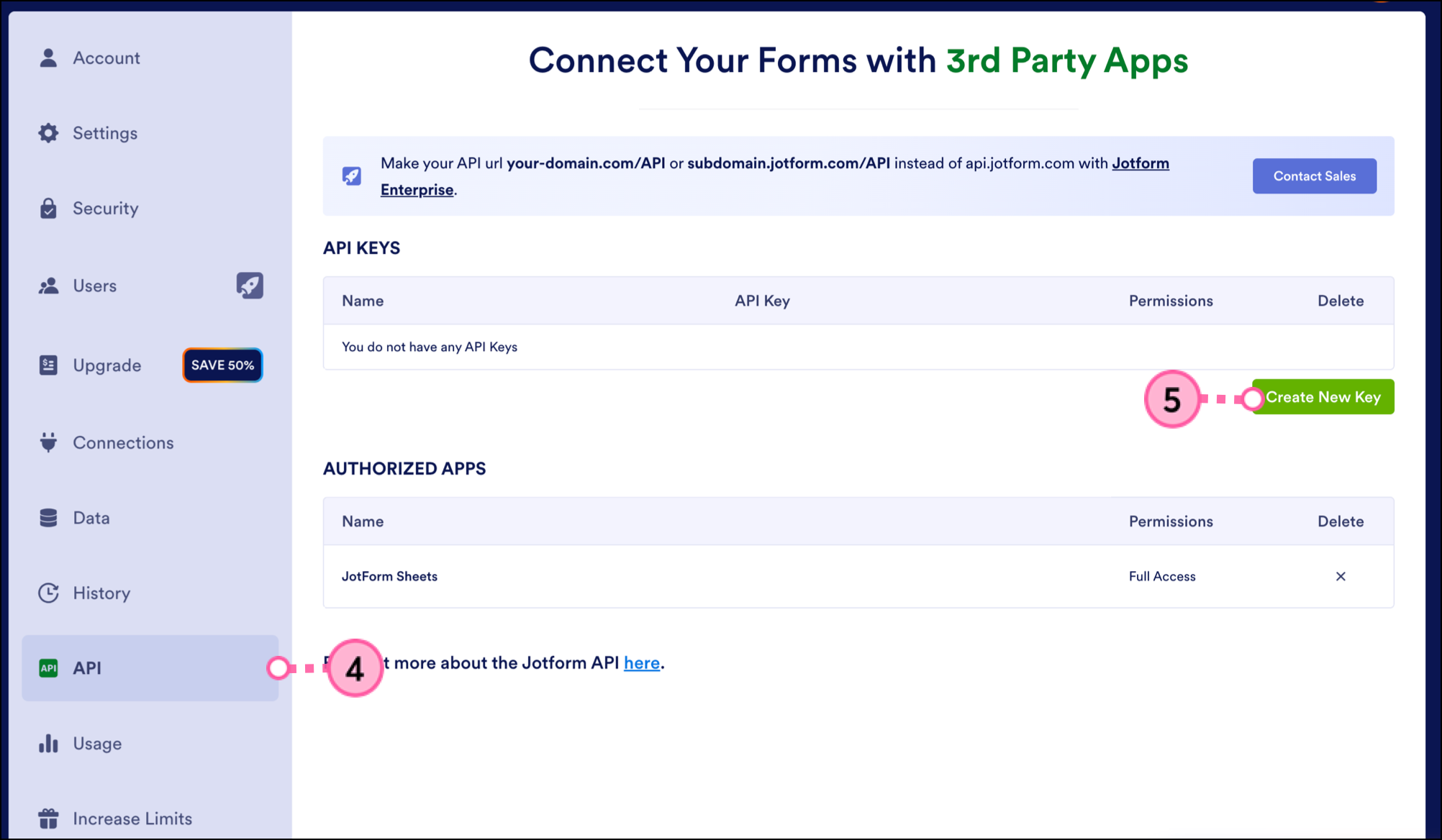 API option selected in the left side navigation menu revealing API Keys section with Create New Key button