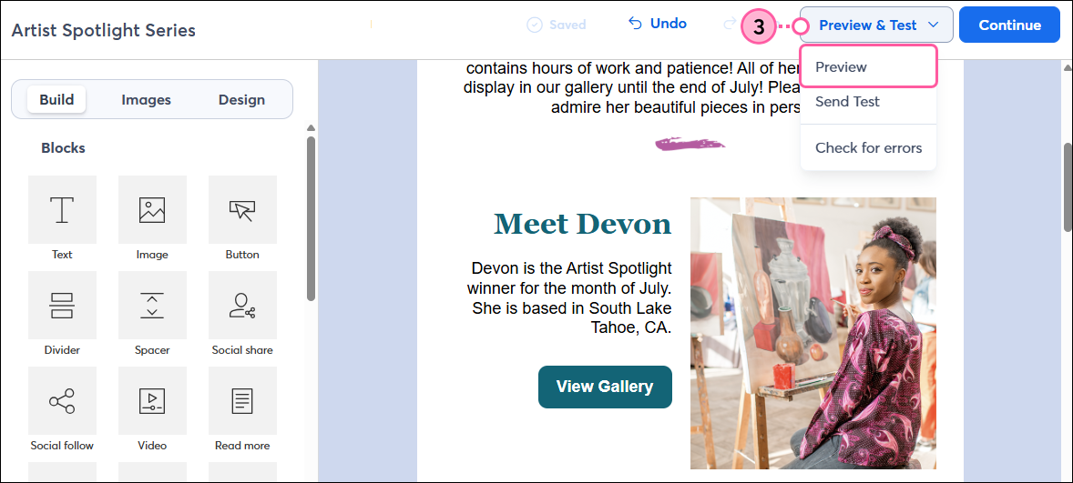 Email editor with Preview and Test drop-down and Preview option