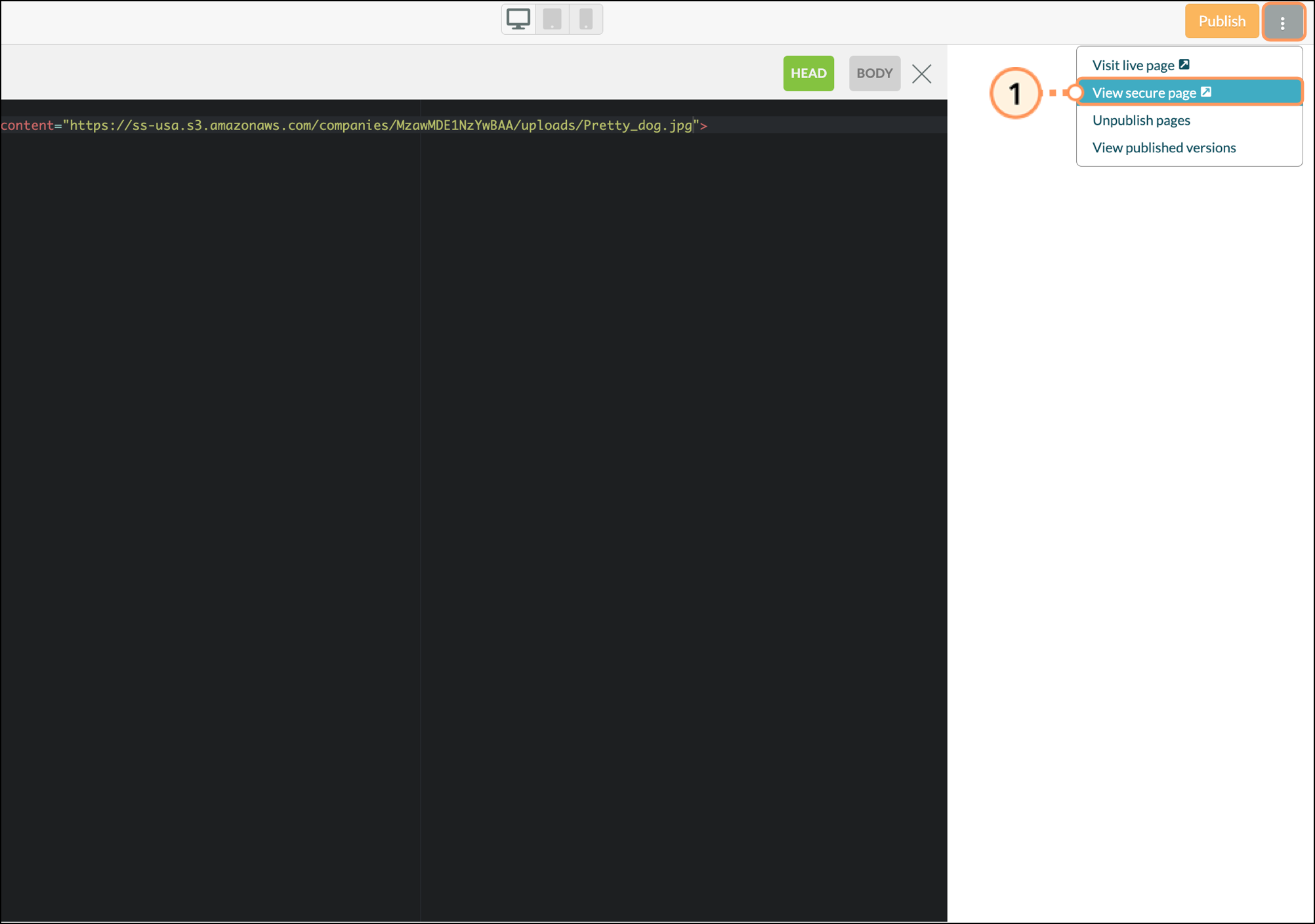 Expanded landing pages settings menu with View secure pages link