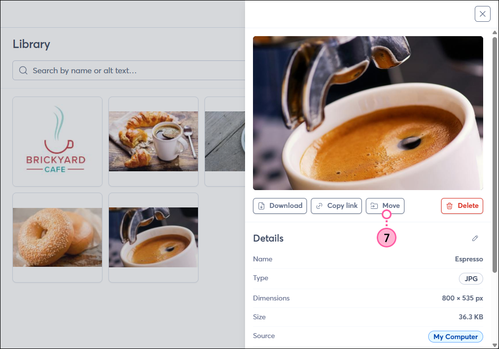 Library with image selected and Move button in details panel