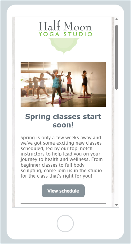 Email example with a button instead of a table when viewed on a mobile device