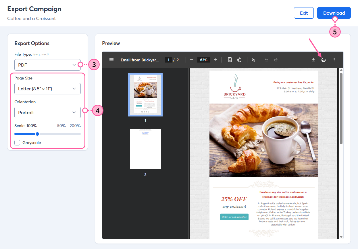 PDF Print Options and Download Button