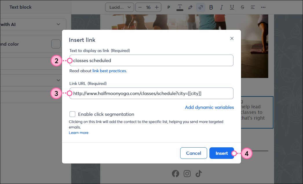 Insert Link popup, Text and Link URL fields, and Insert button