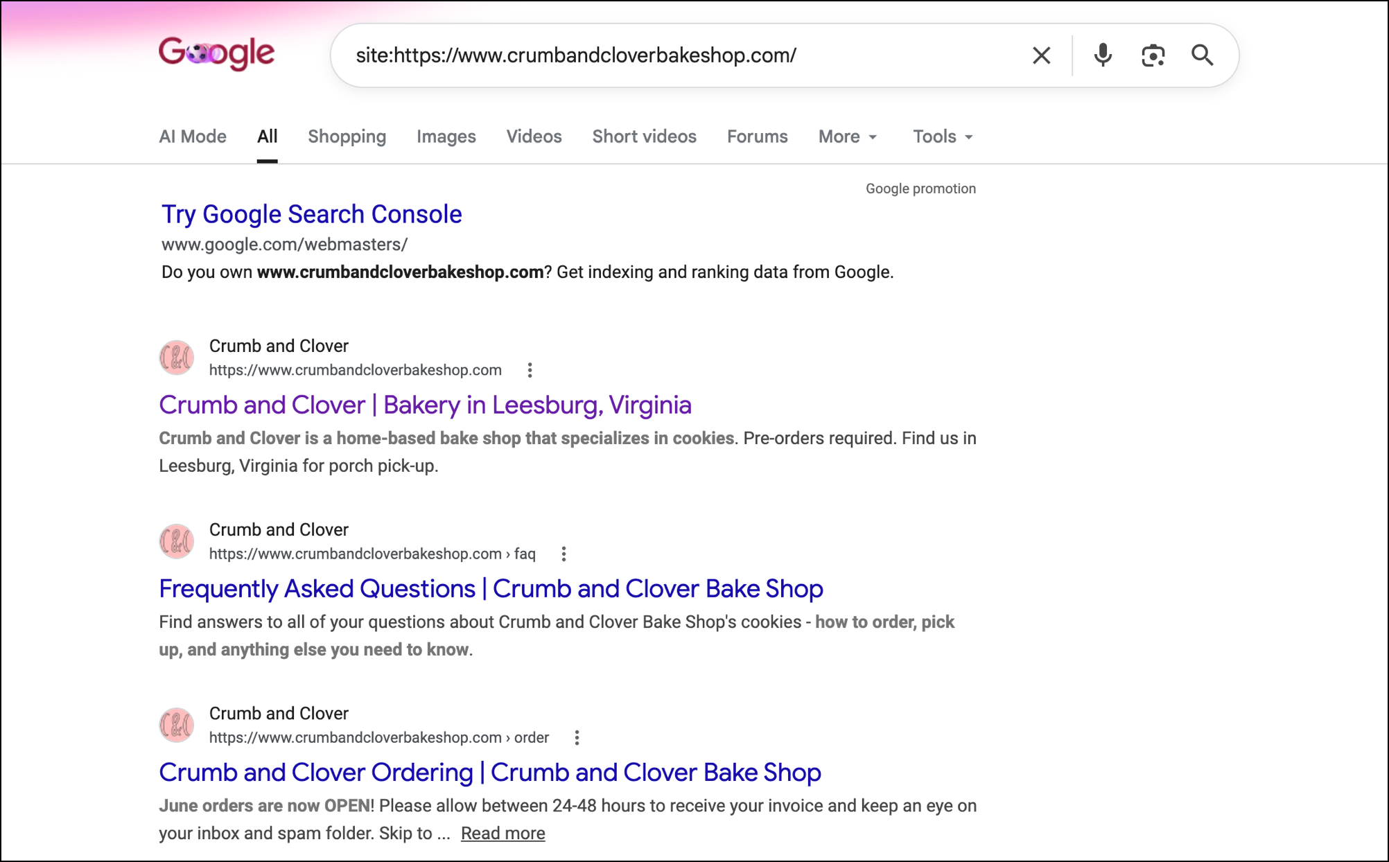 Búsqueda en el sitio de Google que muestra un sitio web indexado