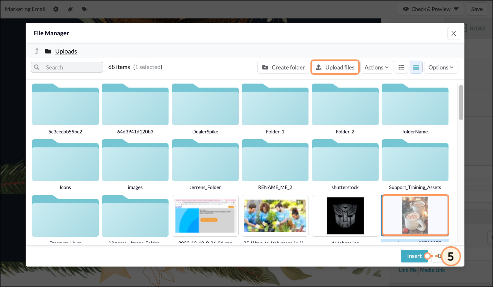 Row of file management buttons, rows of folders and files above a blue Insert button