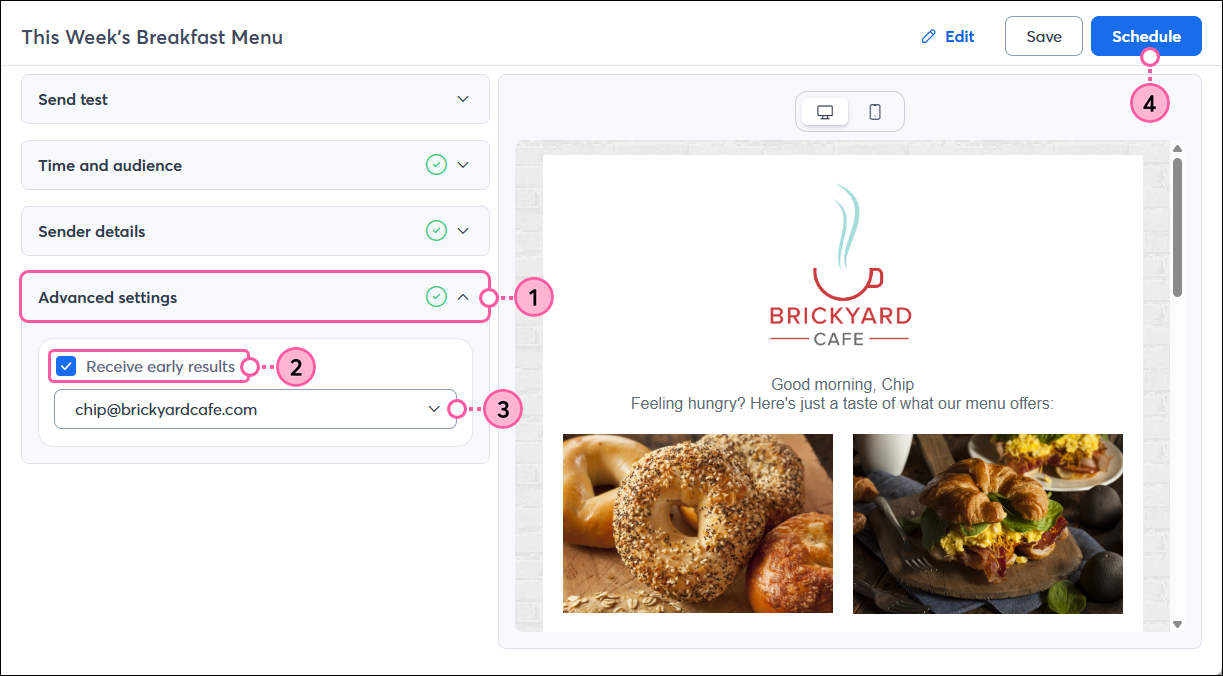 Email schedule page, Advanced Settings section expanded, Early Results Option and Email Drop-down Menu, and Schedule Button