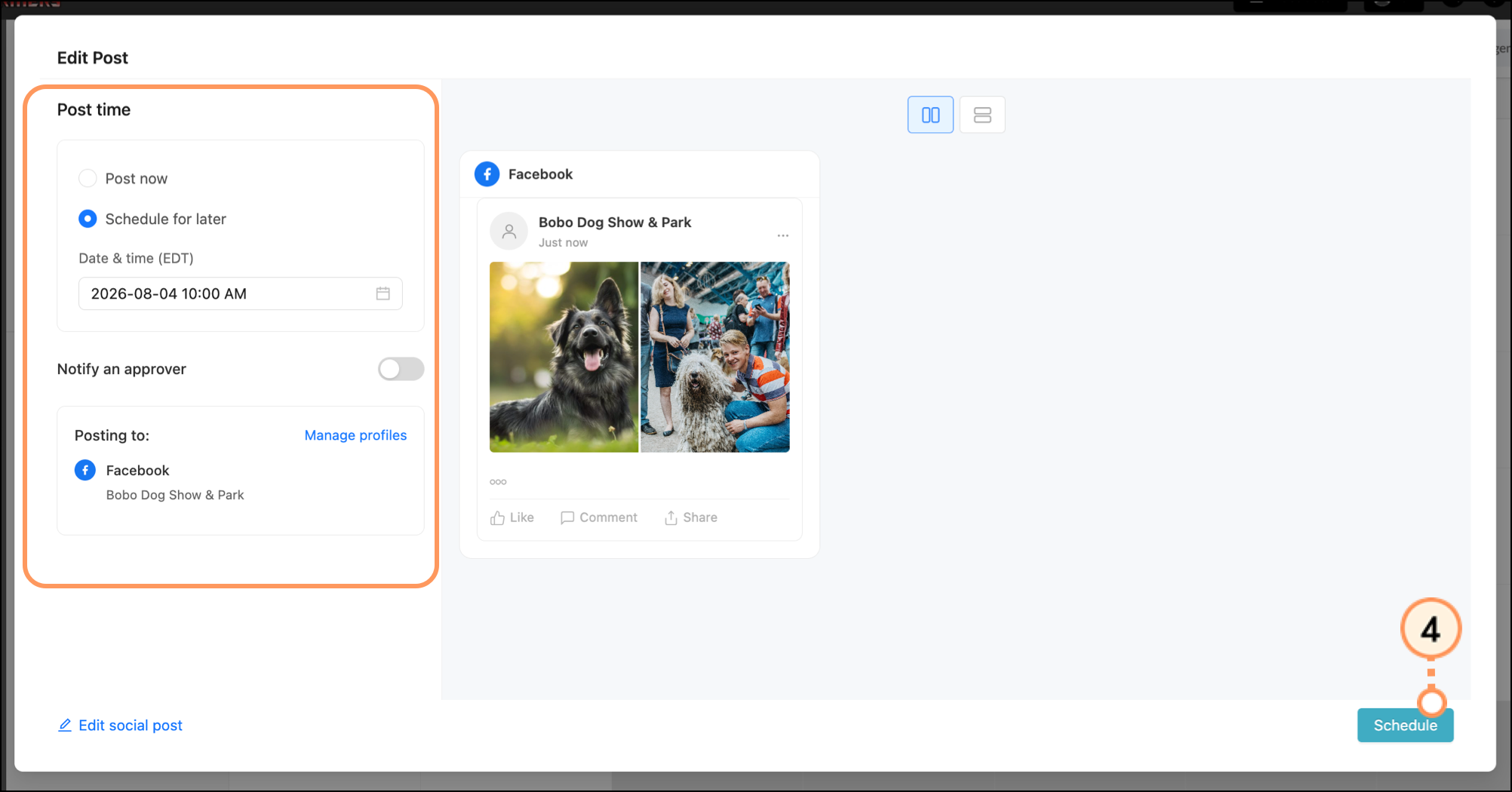 Post schedule options and blue Schedule button