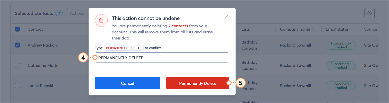 This action cannot be undone overlay with confirmation field and Permanently Delete button