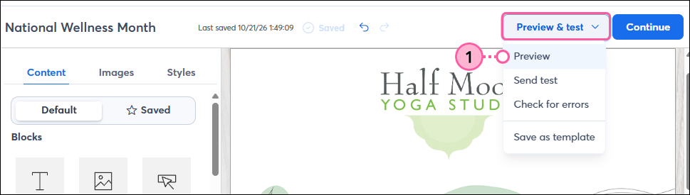 Preview & Test dropdown with Preview option