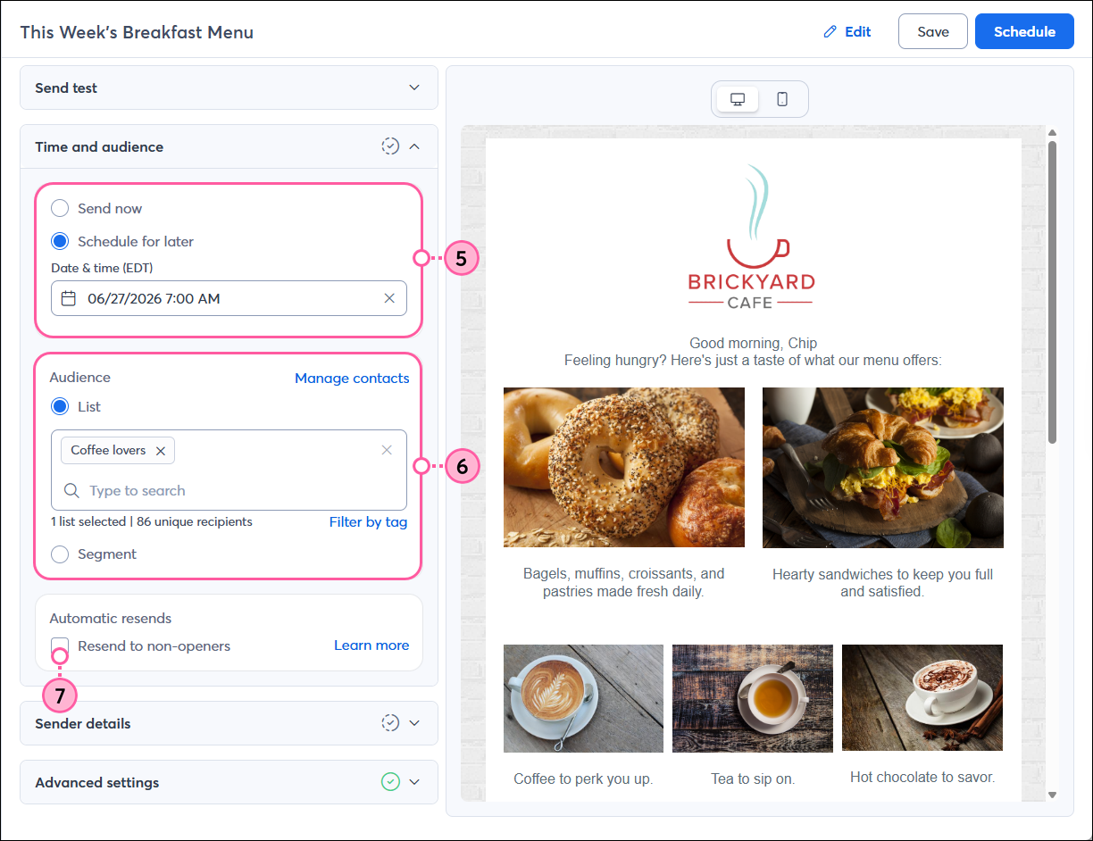 Email schedule page with Time and Audience sections