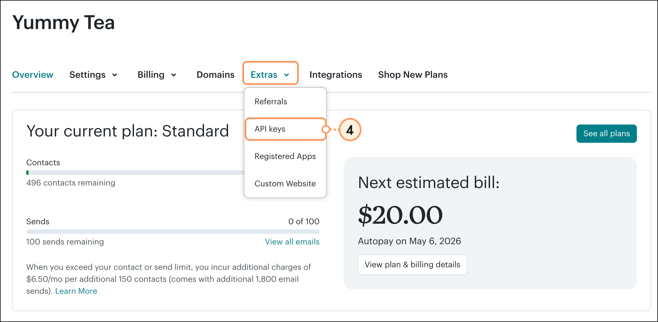 Extras dropdown menu API Key option
