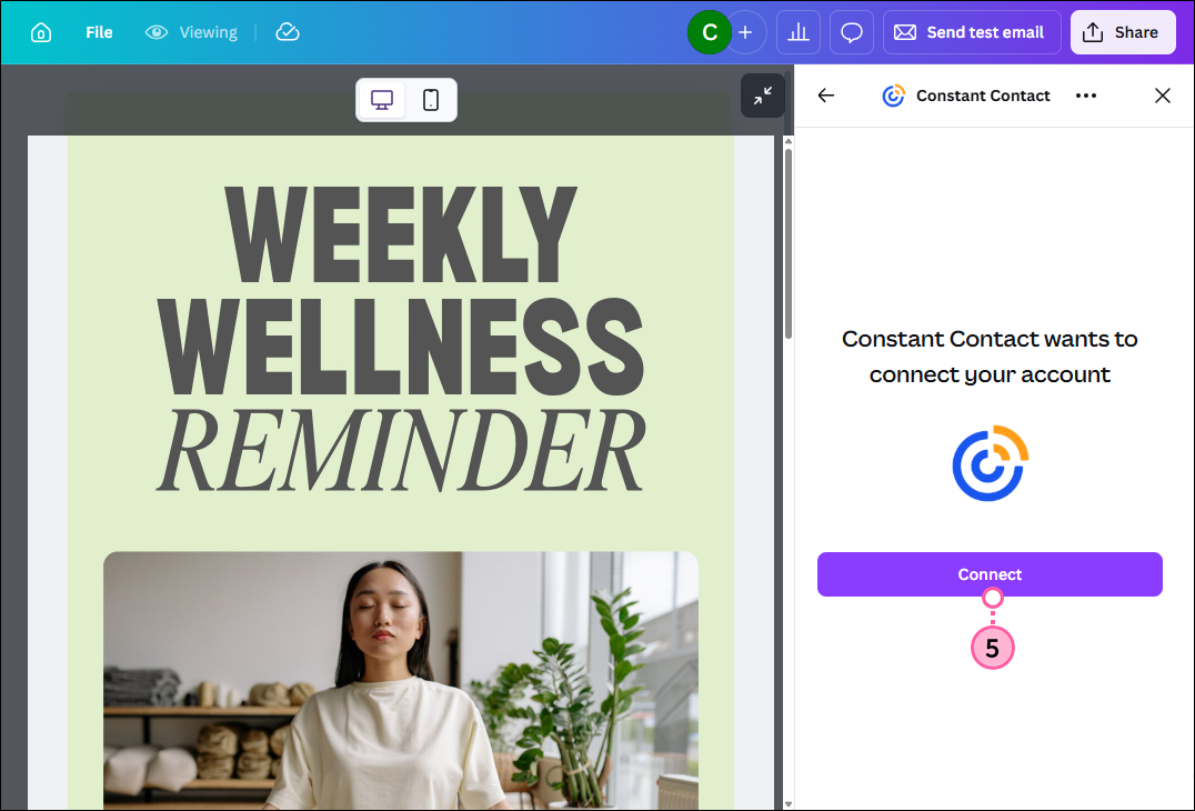 Constant Contact app Connect button