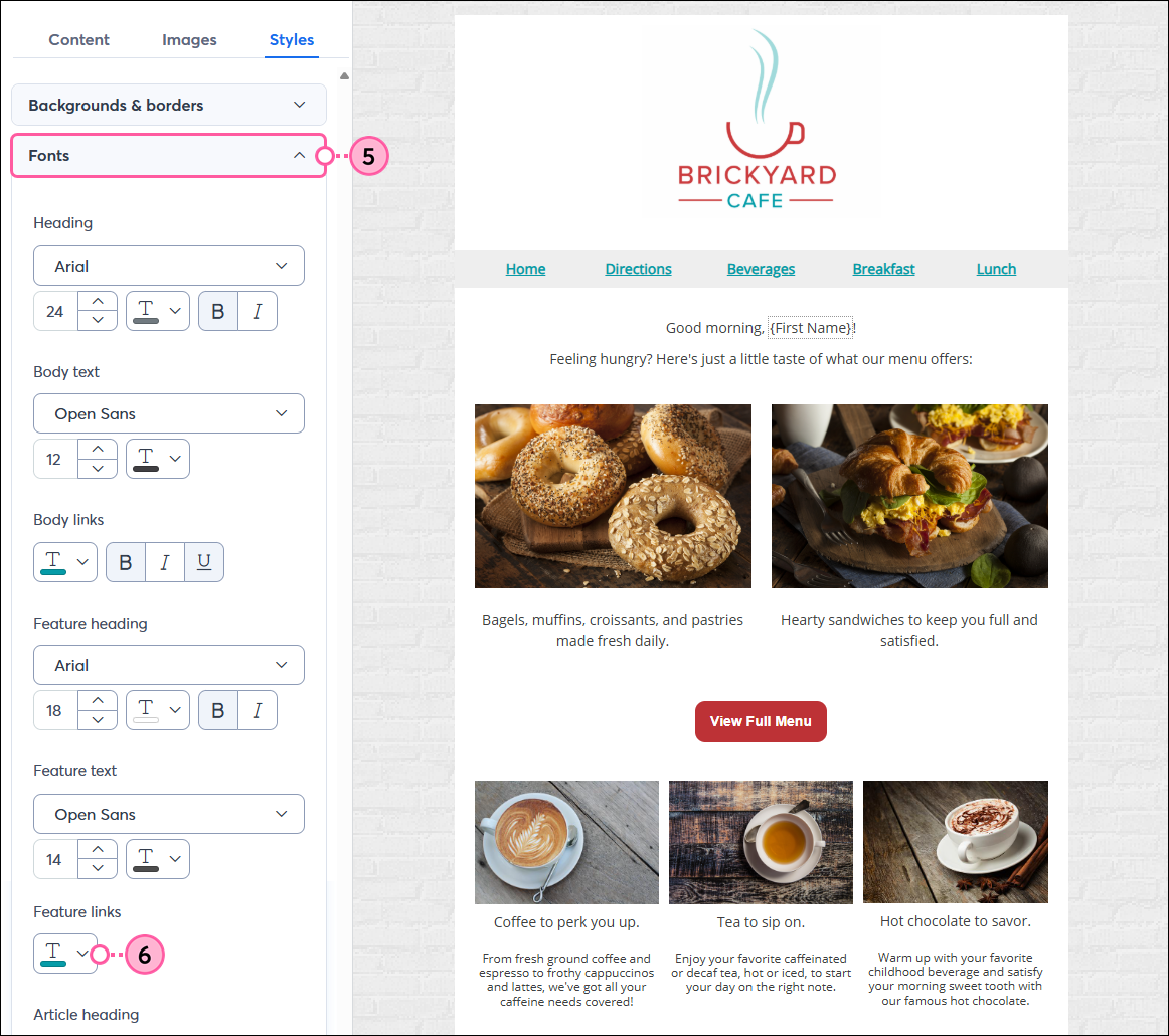 Styles Tab, Fonts section expanded, and Feature Links Option