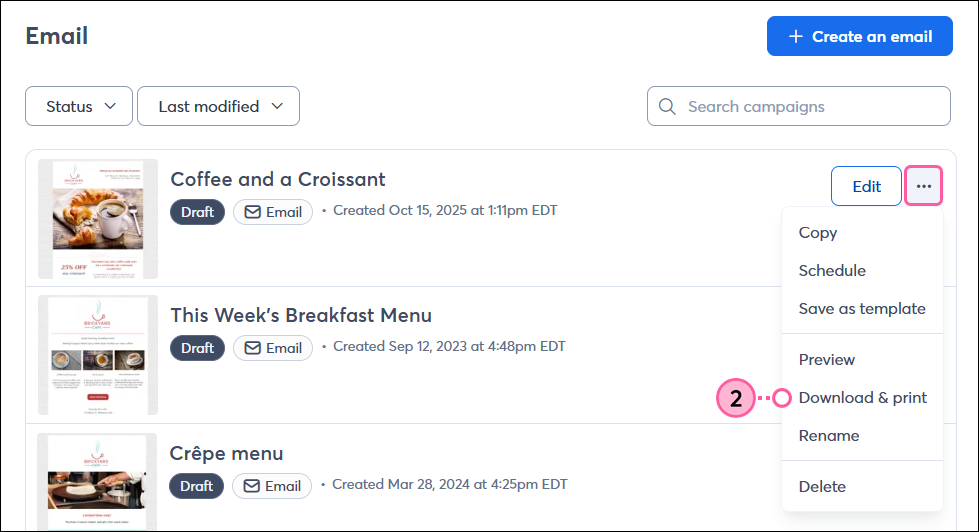 Email page, Draft Email, More drop-down, and Download and Print option