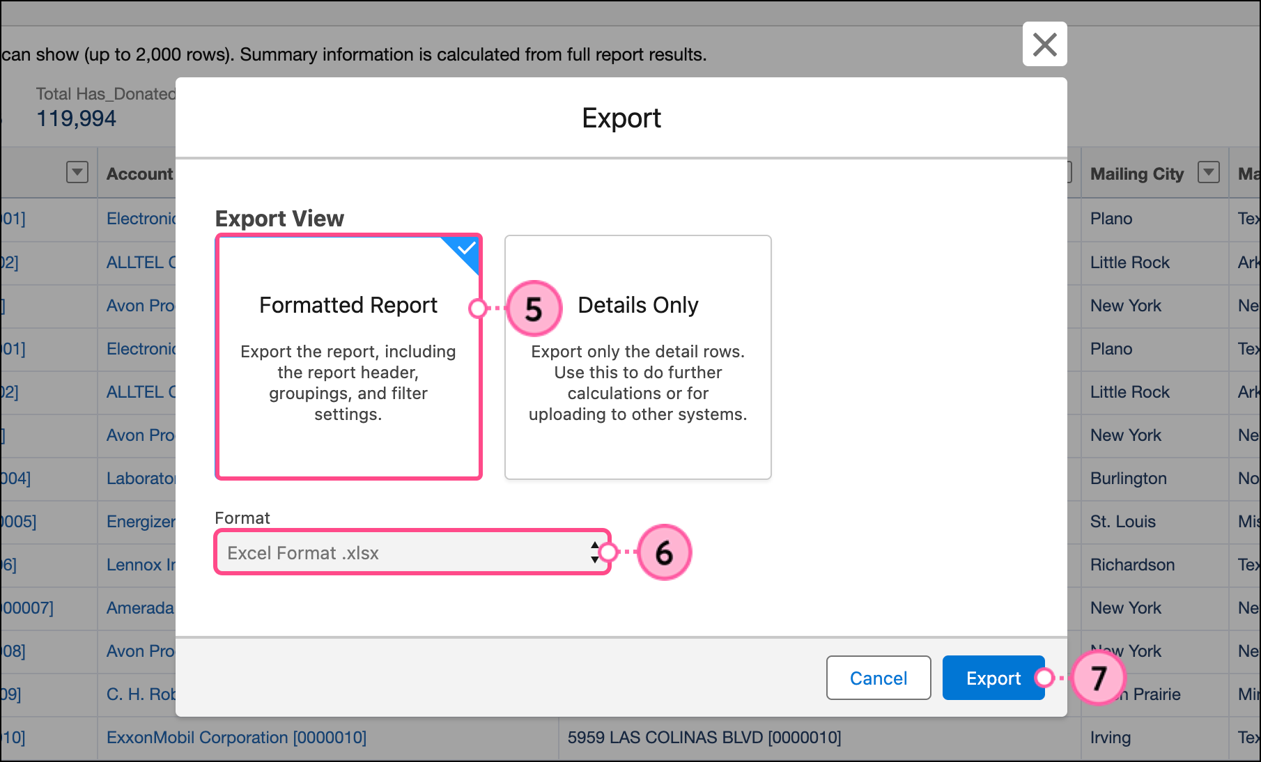 Formatted Report and Details Only button options above the Format dropdown field and blue Export button