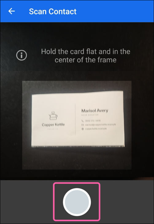 Camera section with shutter button