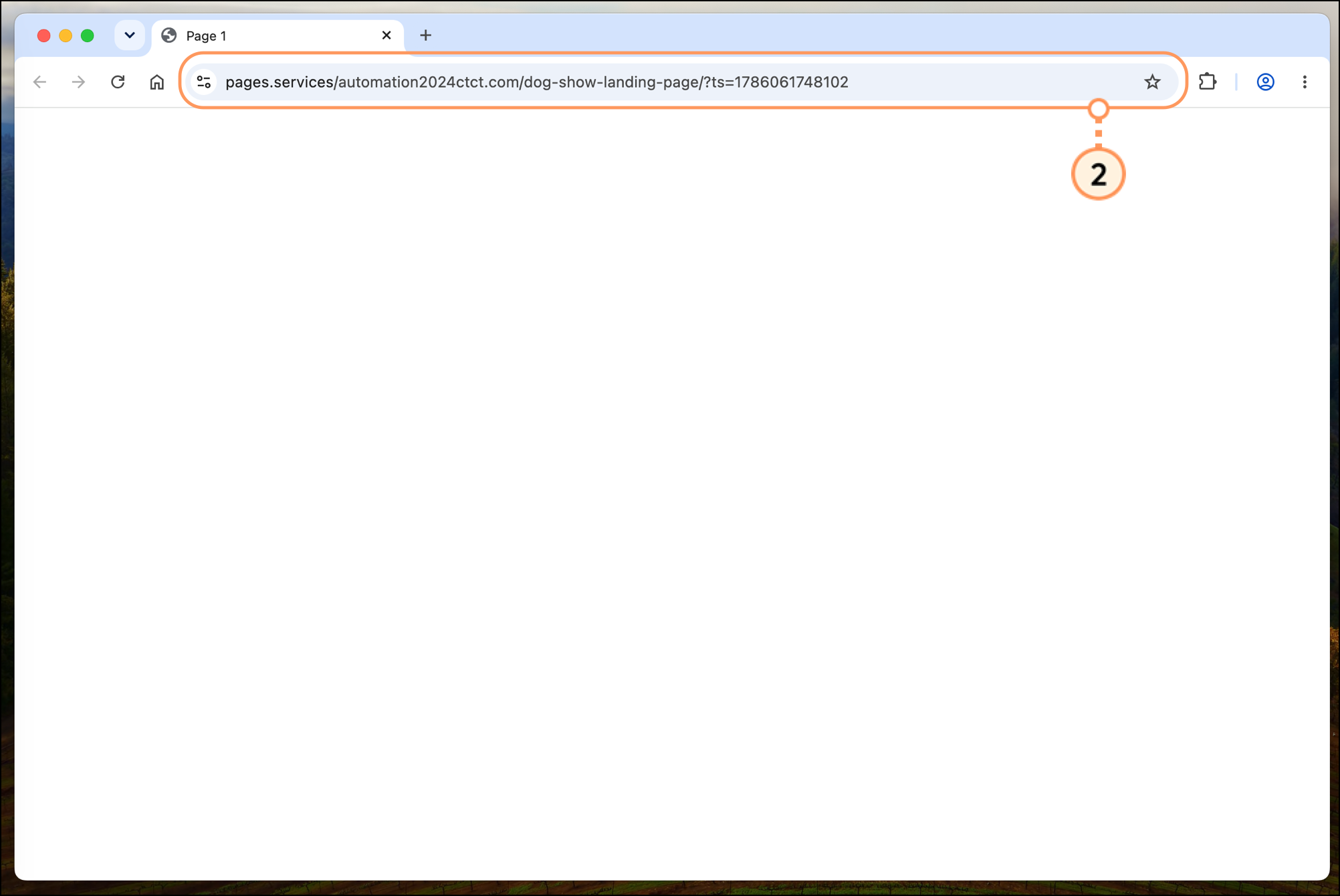 URL of landing page in browser
