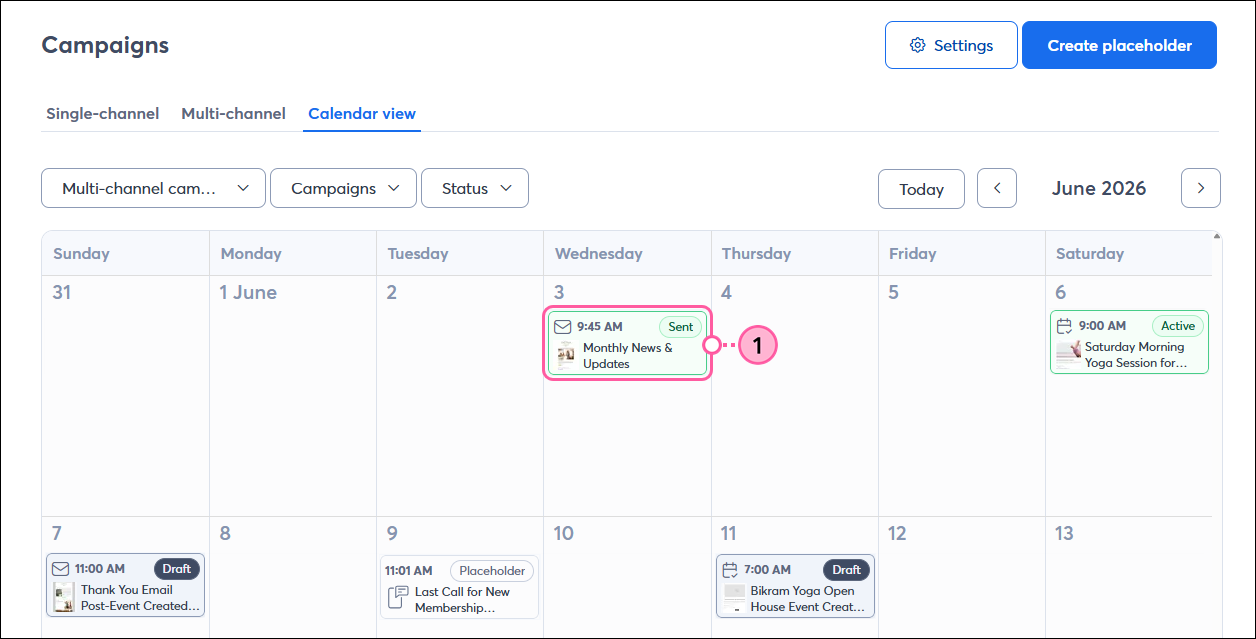 Campaign Calendar View with Sent Email selected