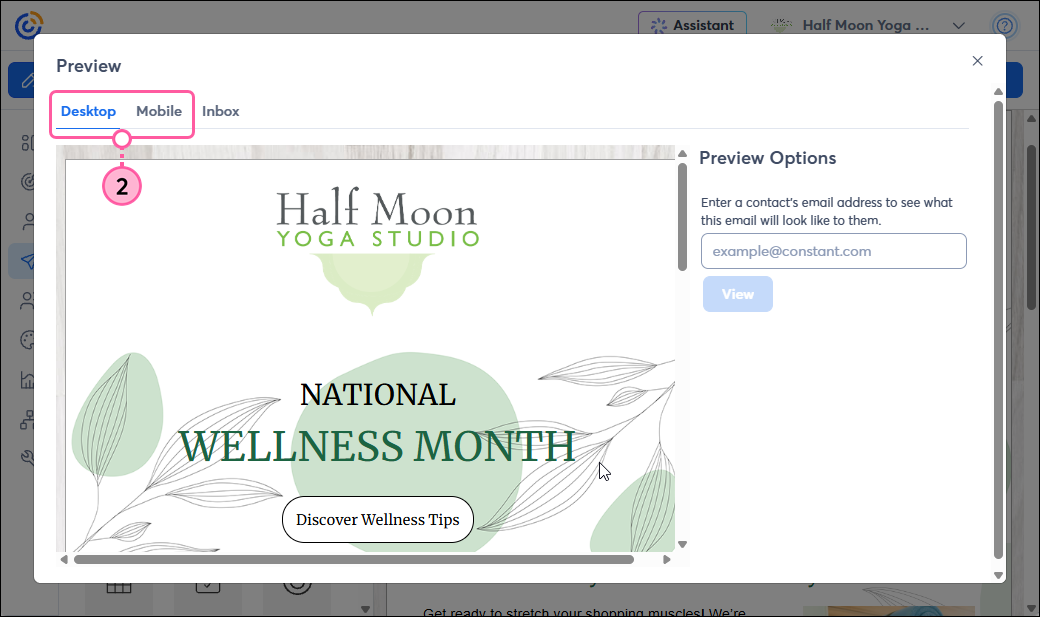 Desktop Preview of email and Mobile tab