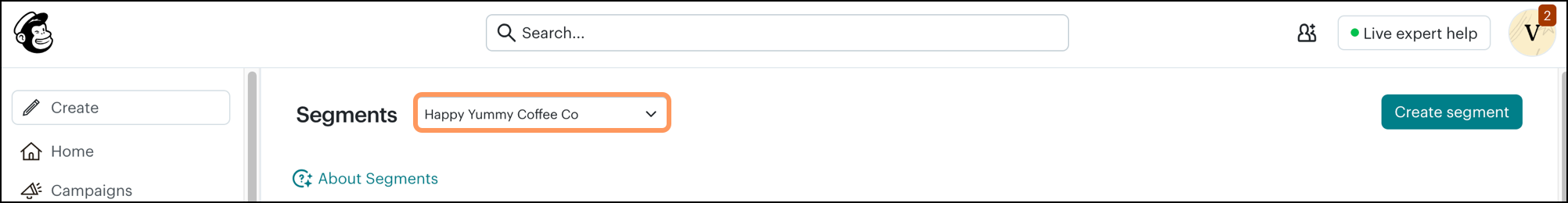 Audience Segments dropdown menu