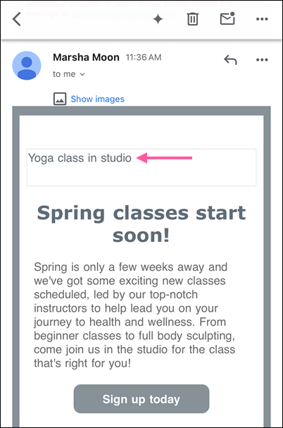 Email viewed on mobile device with images not displaying and alt text