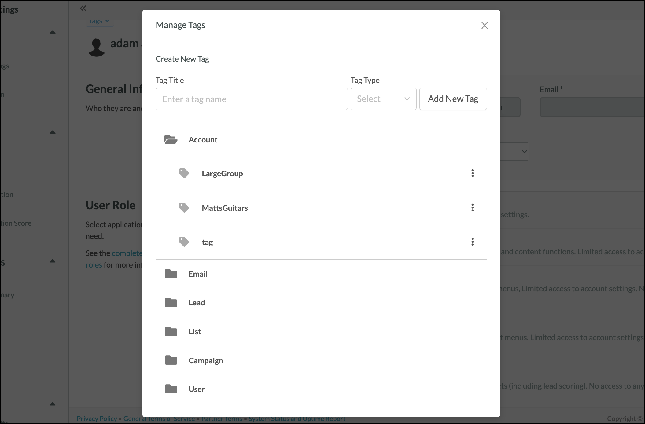 Expanded tag folder in the Manage Tags pop-up