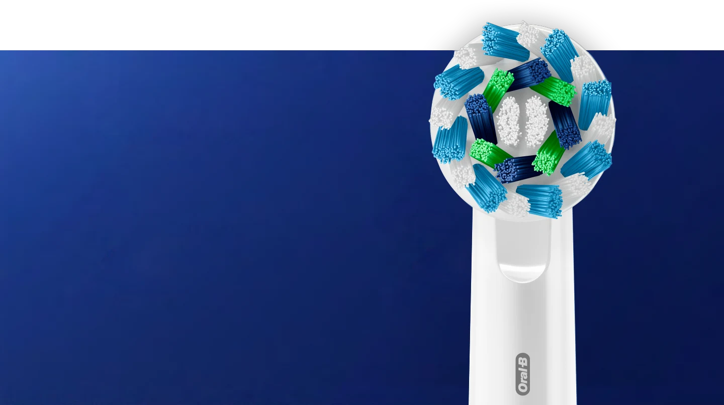 CABEÇAS DE ESCOVA ORAL-B PROJETADAS COM DENTISTAS PARA TODAS AS NECESSIDADES