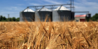 Instrumenting the Post-Harvest Supply Chain with Centaur