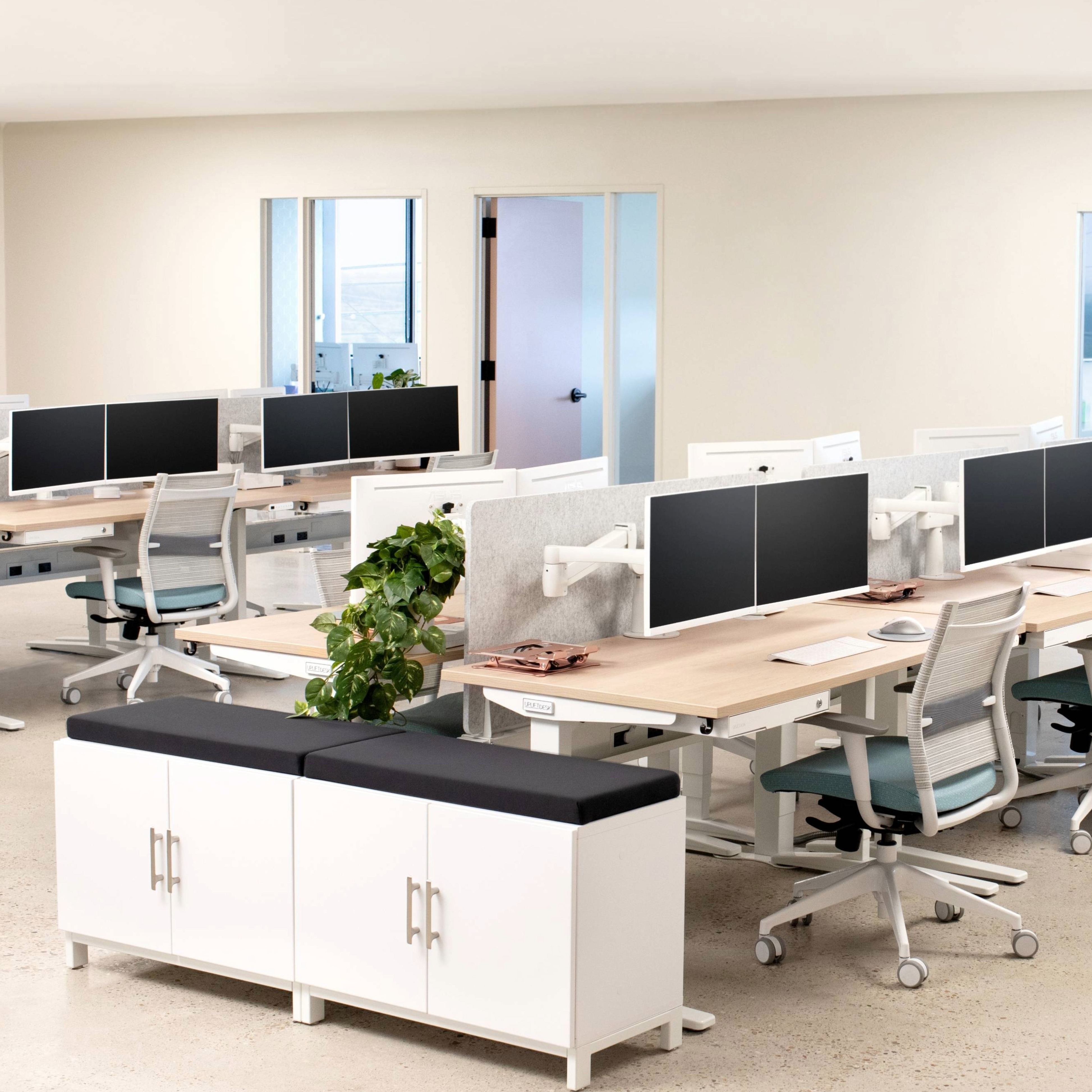 Government Office Solutions | UPLIFT Desk