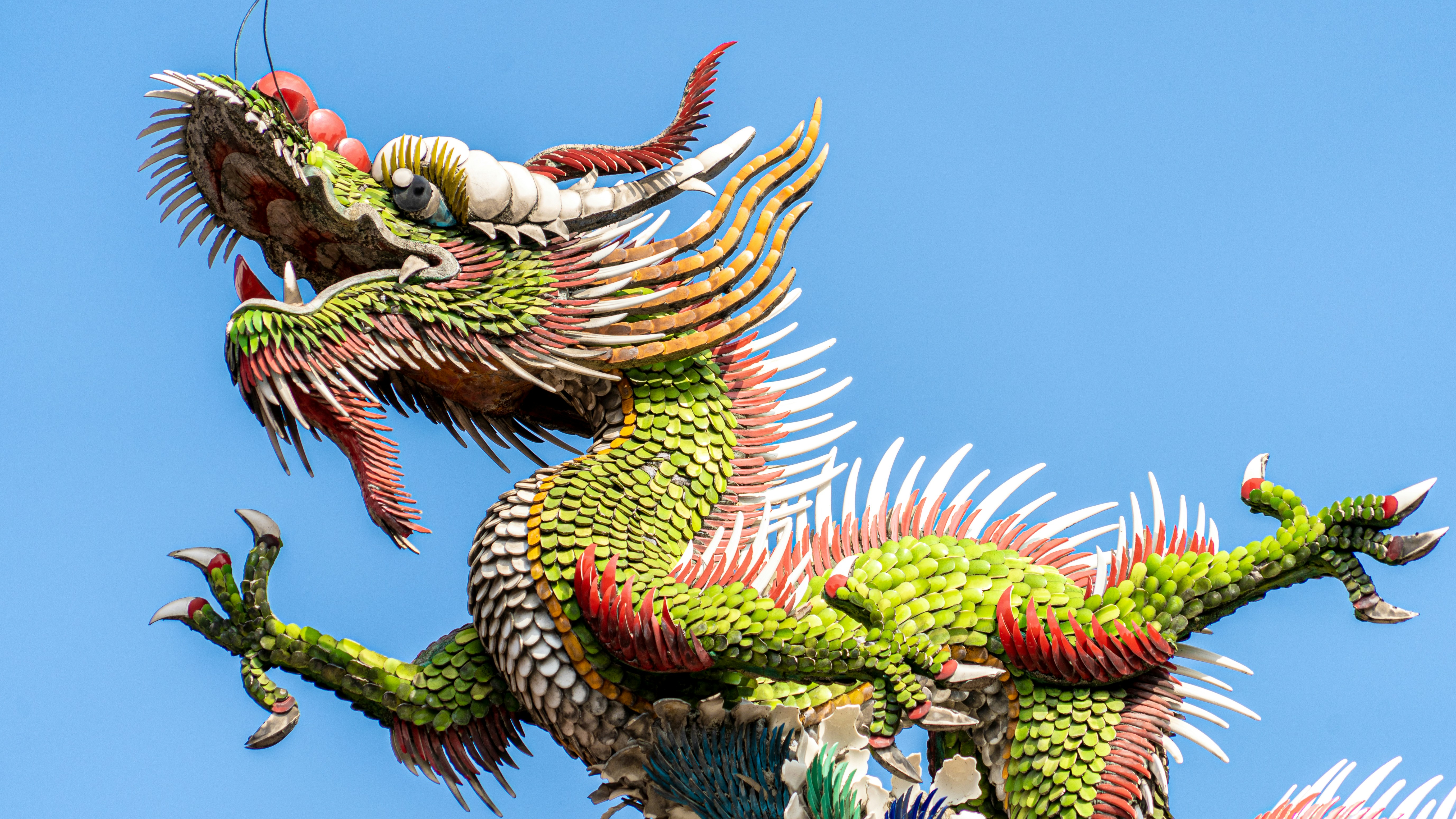 Dragon, Photo by Winston Chen on Unsplash