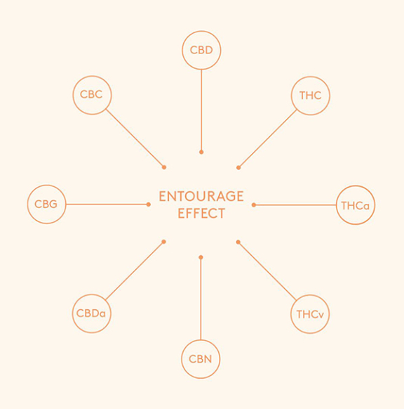 Image - Entourage Effect